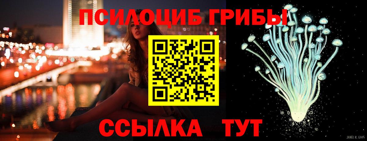 Галлюциногенные грибы GOLDEN TEACHER  Галлюциногенные грибы прущие грибы  Наро-Фоминск  Вход с VPN 